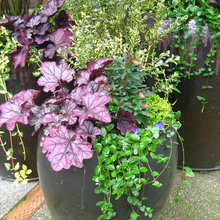 outdoor container gardening