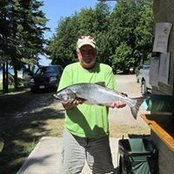 Gary Sampsons billede