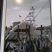 Diane Eliason's photo