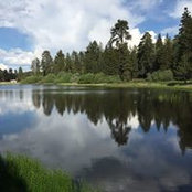 Jill Brown's photo