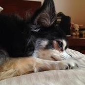 Valerie Kind's photo