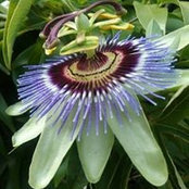 Josie Walker's photo