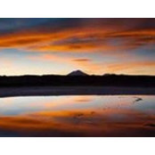 Sol de Veranos billede