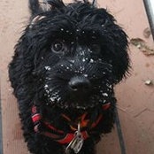 Barbara Gruber's photo