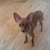 Johanne Belley's photo