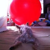 Mina Moller's photo
