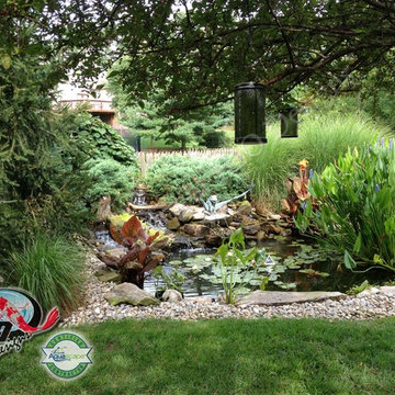 KOI Pond, Backyard Pond & Small Pond Ideas for your Kentucky Landscape