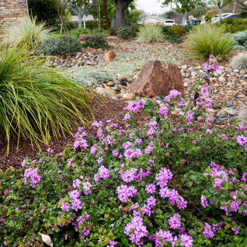 Lawn To Life
