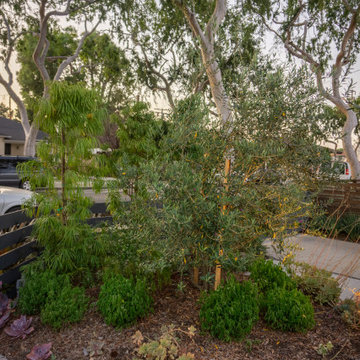 Culver City Residential Retreat