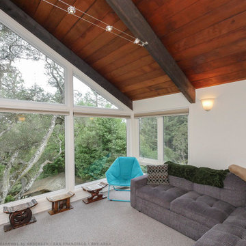 Picture Windows & Specialy Windows - Renewal by Andersen San Francisco Bay Area