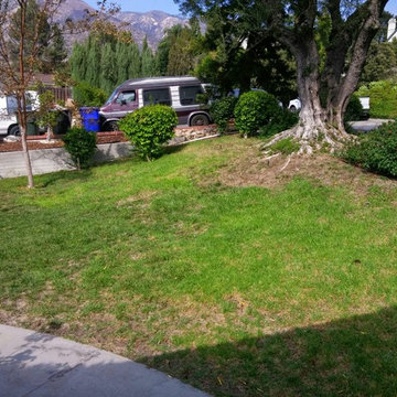 La Crescenta River Bed Project