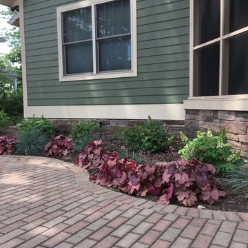 New foundation planting