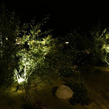 Gardens at Midnight - design by Taryn Tree