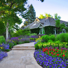 Front yard landscaping