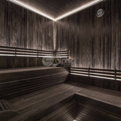 Project Sauna + Steam Room - Saunas