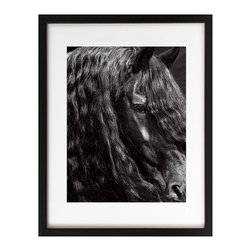 James Houston Design - Horse Series (print only) - Fine Art Prints