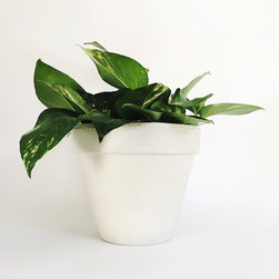 10" Classic Concrete Pot / White - Indoor Pots And Planters