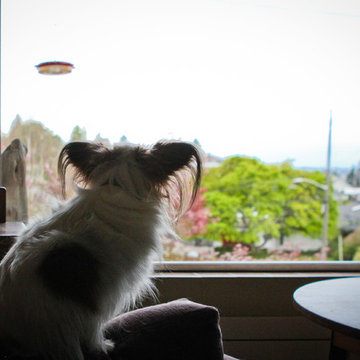 My Houzz: A Kitchen Update With Indoor-Outdoor Beauty
