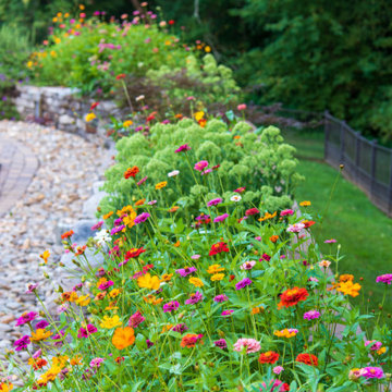 Seasonal Color and Annuals