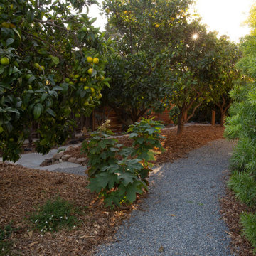 Santa Barbara Secret Garden