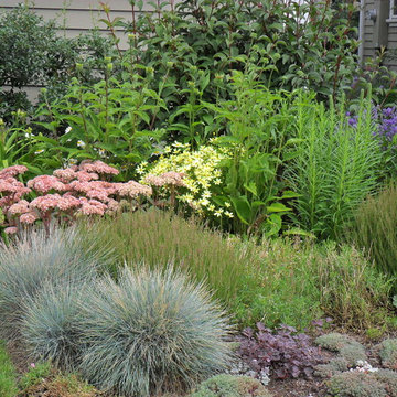 Flowery Front Yard