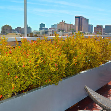 Rooftop Patio deck