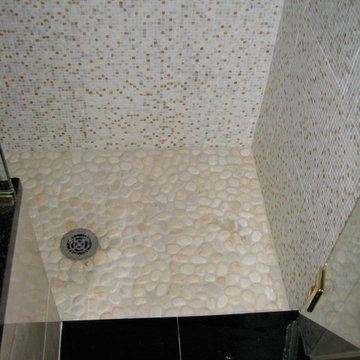 Greenwood Village Master Bathroom Remodel