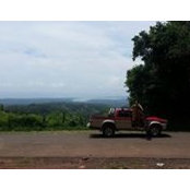 Foto von Tico Rodriguez