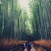 Alex Chen's photo