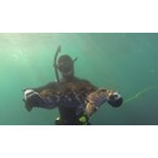 Ken Wong's photo