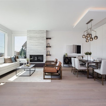 Living Room - Transitional