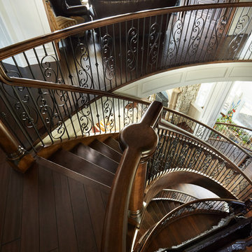 Elegant Maple Curve