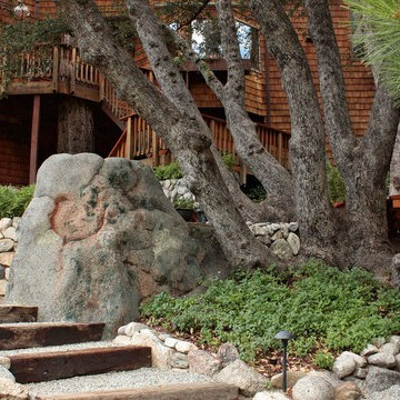 Pathway View