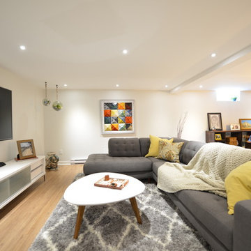 Basement Reno