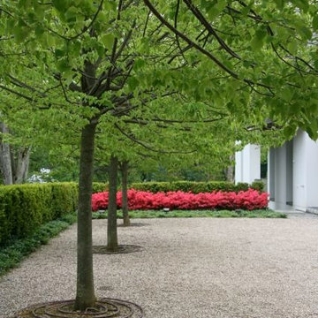 Greenwich, CT