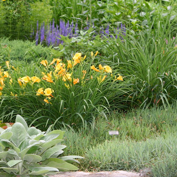 Garden Design Ideas
