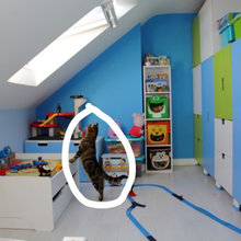 Loft Conversion