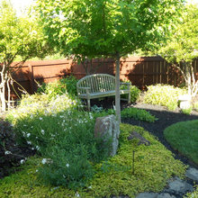 Landscape Ideas