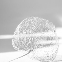 Nest - Prints And Posters