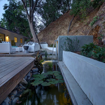 Contemporary Koi Pond