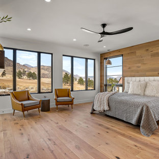 Großes Modernes Hauptschlafzimmer mit weißer Wandfarbe, hellem Holzboden, Kamin, Kaminumrandung aus Holzdielen und braunem Boden in Denver
