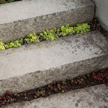 cold frame steps