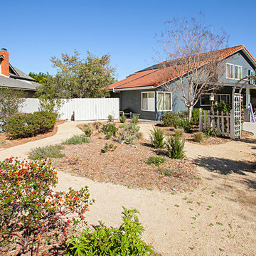Backyard Dreams
