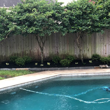 Green Trails Poolside Landscape