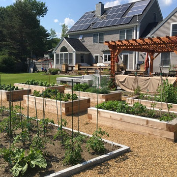 Vegetable Garden