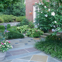 Chevy Chase Backyard