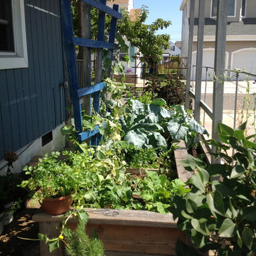 Vegetable & Herb Gardens