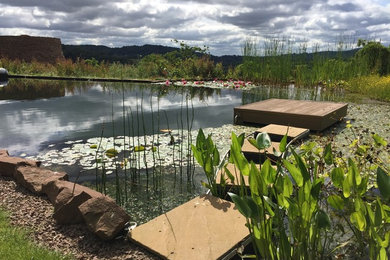 Eastabrook Architects - Natural Swimming Pool