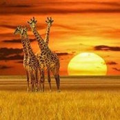 Helene Terblanche's photo