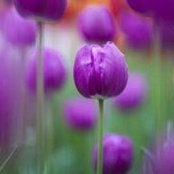 Staci Meyers's photo
